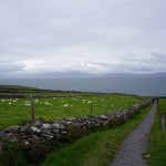 Drive From Shannon to the Dingle Peninsula Ireland
